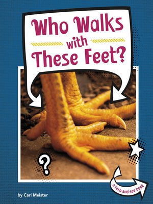 cover image of Who Walks With These Feet?
